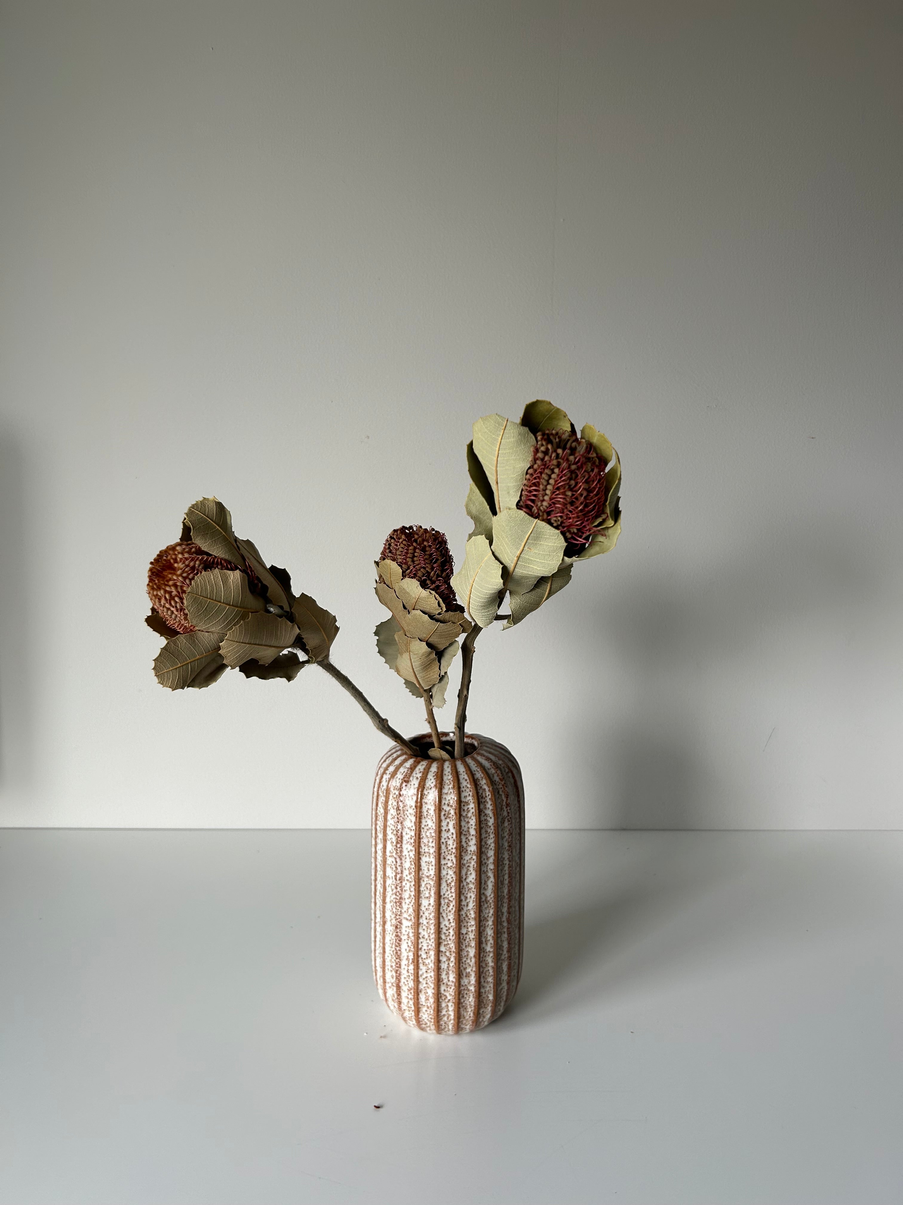 Dried Flowers in Vase